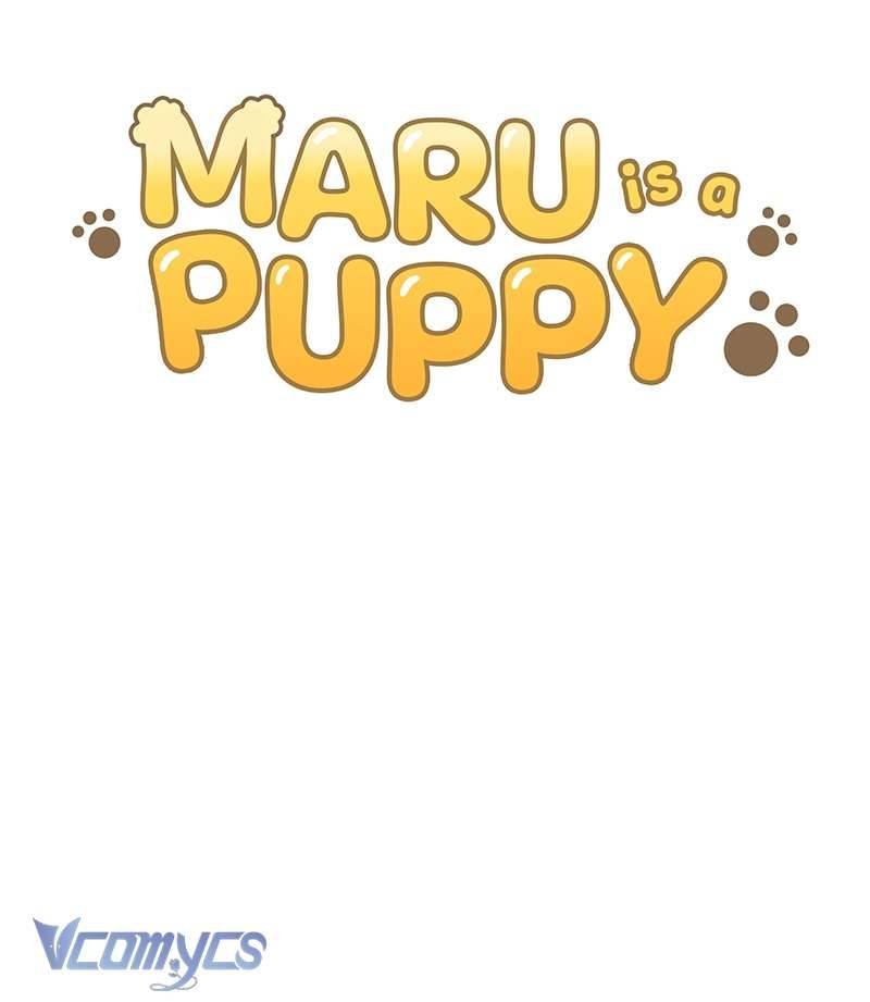 Bé Cún Maru Chap 3 - Trang 2