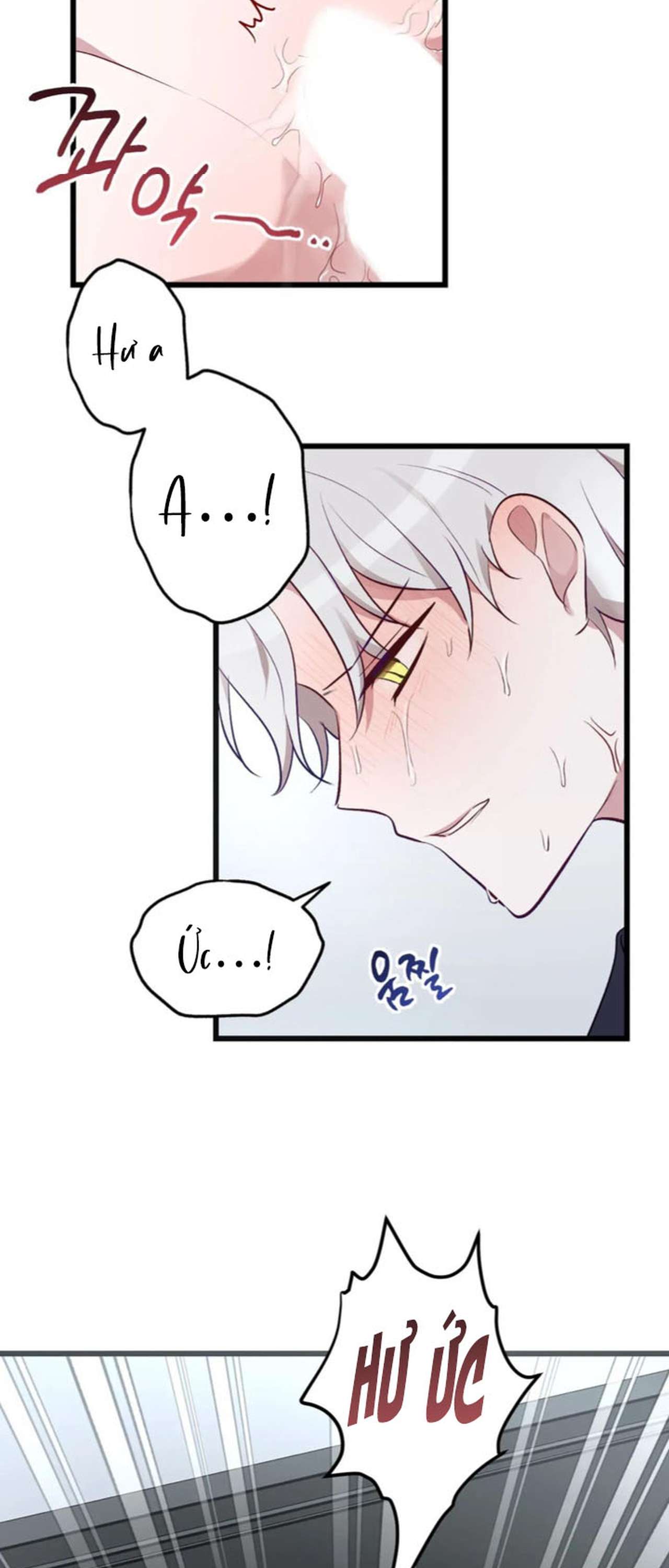 [ 18+ ] Rắn và thỏ có thể kết hôn không? Chap 4 - Next 