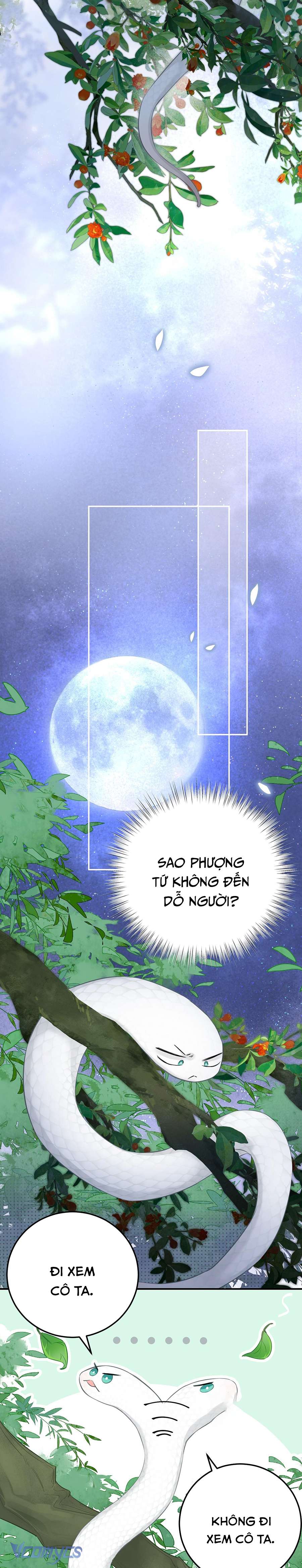 Rắn Cưng Nhà Ta Lại Trêu Ta Chap 6 - Trang 2