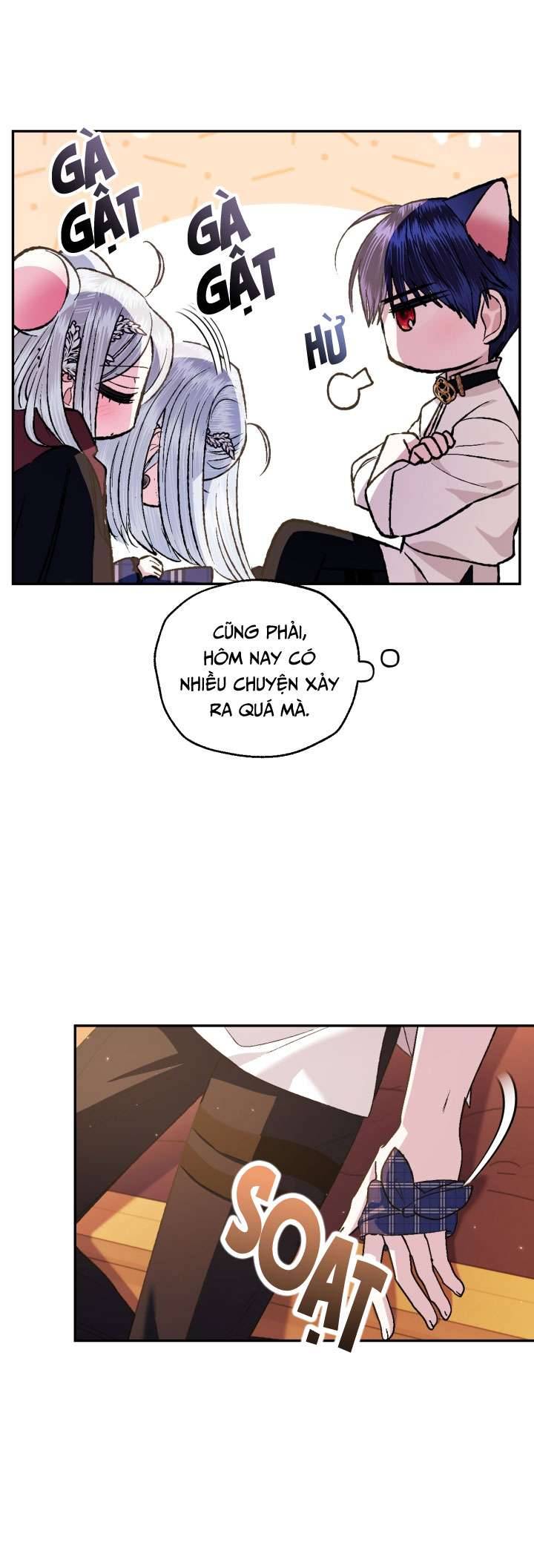Cha À, Con Không Muốn Kết Hôn Đâu Chap 65 - Next Chap 66