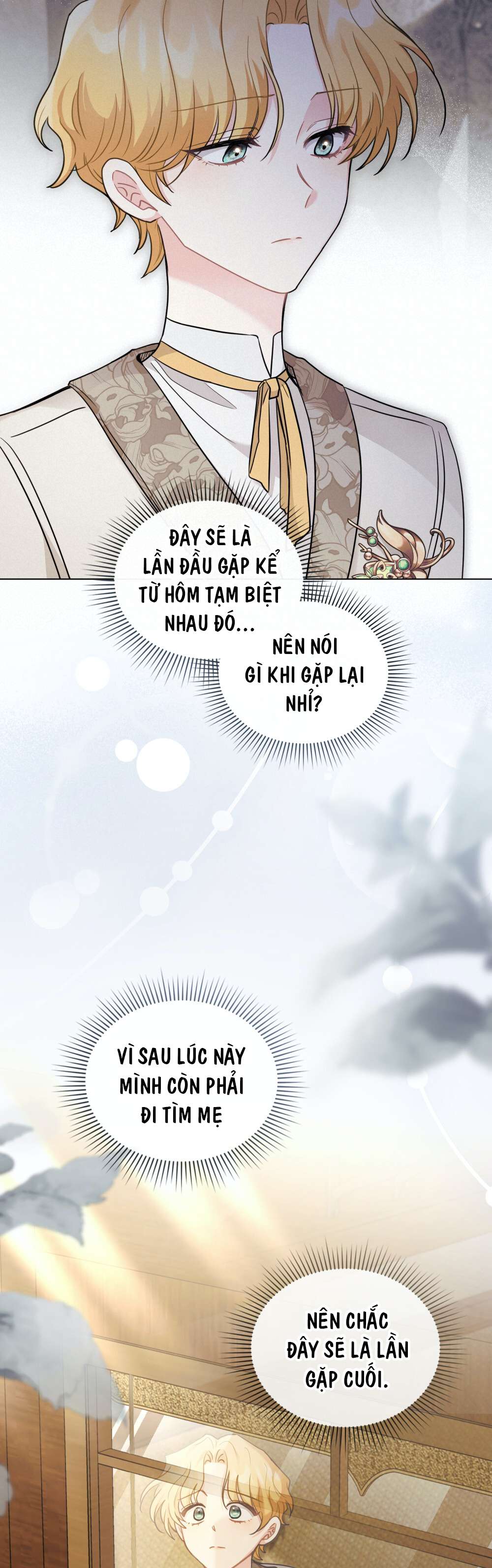 Tìm Lại Camellia Chapter 67 - Trang 4