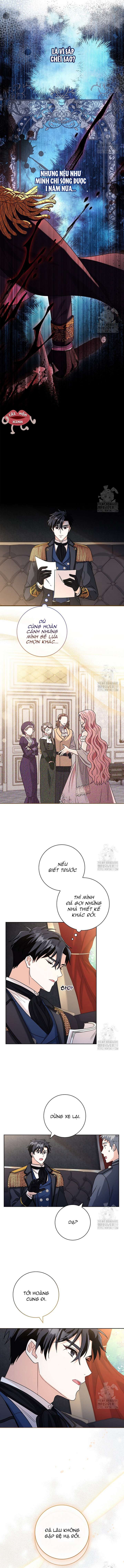 Tôi Phải Mau Chóng Kết Hôn Vì Thời Gian Có Hạn Chapter 8 - Trang 4