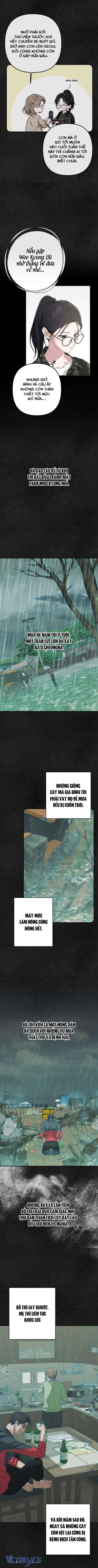 Bóng Râm Mùa Xuân Chapter 8 - Trang 4