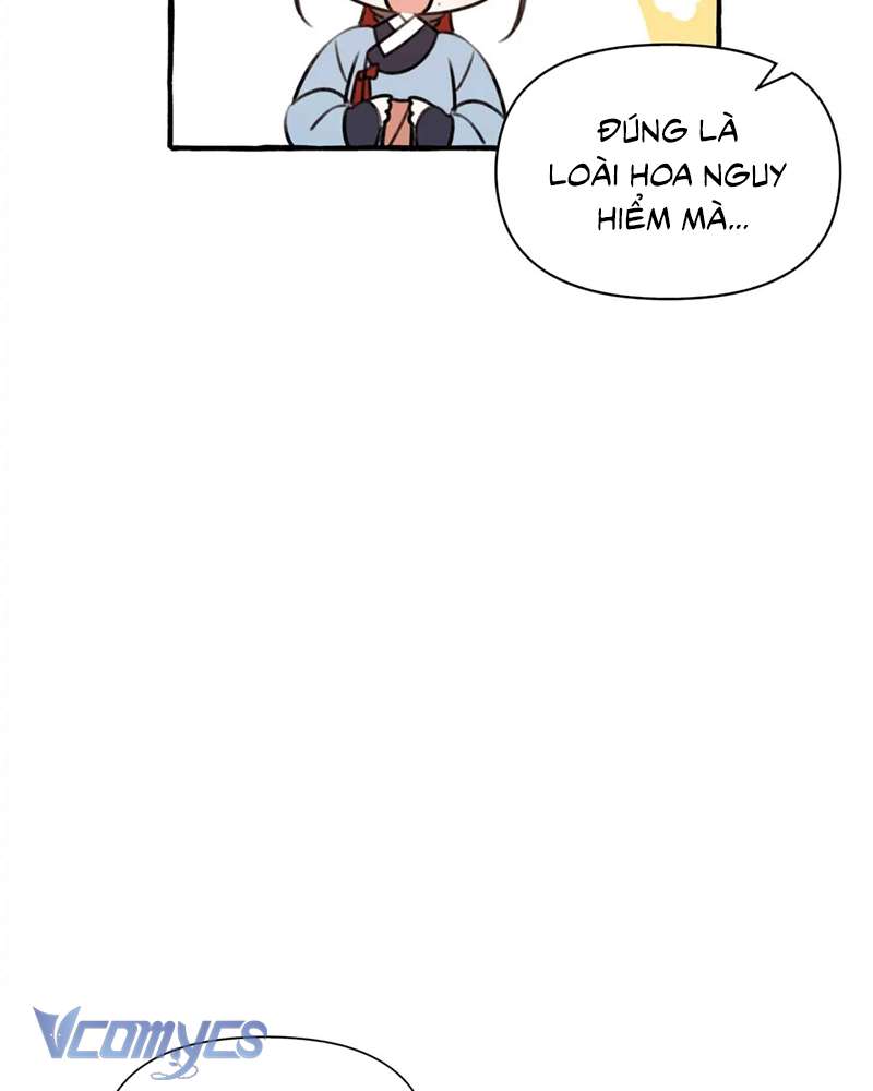 Chuyện Tình Hoa Lưu Ly Chapter 4 - Trang 3