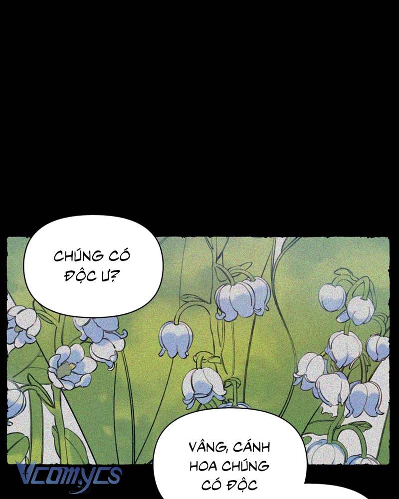 Chuyện Tình Hoa Lưu Ly Chap 5 - Trang 3