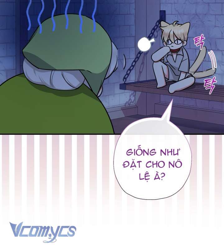 Tiểu Thư Tích Tiền Đi Bụi Chapter 62 - Trang 4