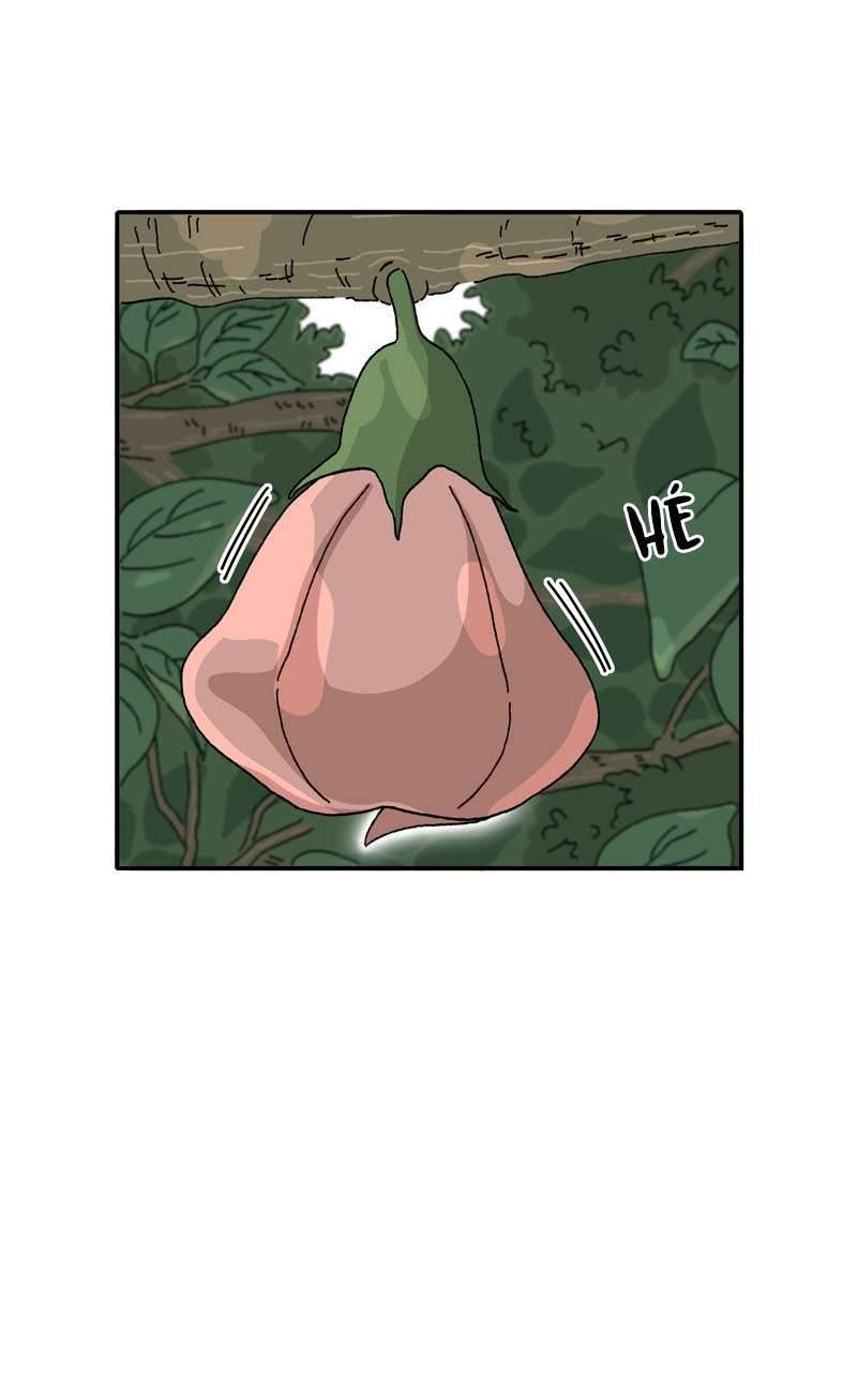 Chú Mèo Tata Chapter 1 - Trang 3