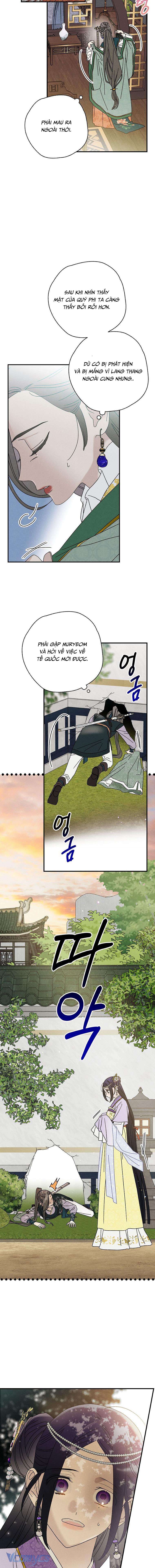Quốc Hôn Chapter 33 - Trang 4