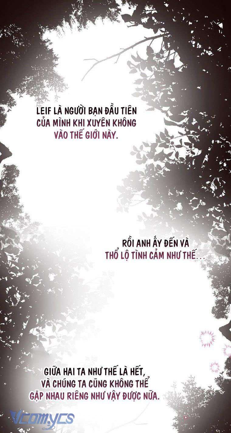 Các Nam Chính Đã Bị Nữ Phụ Cướp Mất Chap 2 - Trang 3