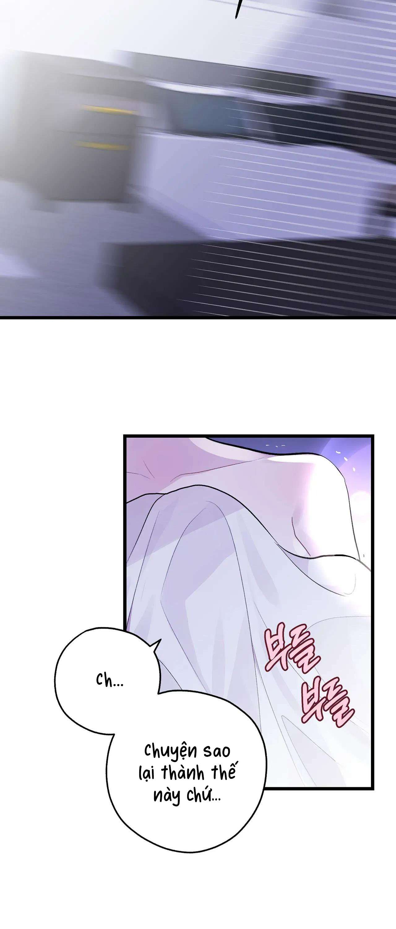 [ 18+ ] Rắn và thỏ có thể kết hôn không? Chap 2 - Trang 2