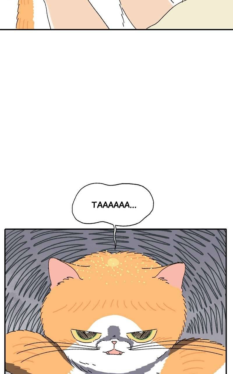 Chú Mèo Tata Chapter 3 - Trang 3