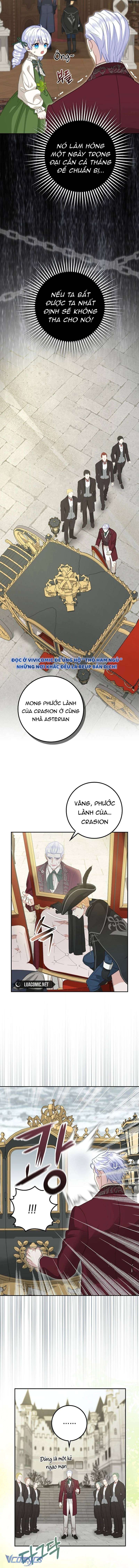 Bé Con Báo Tuyết Của Gia Tộc Báo Đen Chap 4 - Trang 3