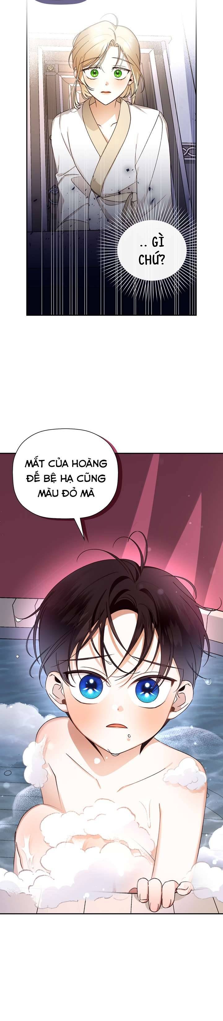 Phương Pháp Che Giấu Đứa Con Của Hoàng Đế Chapter 19 - Trang 4