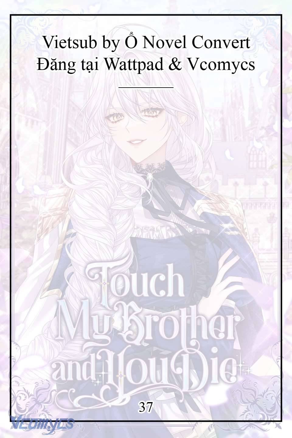 [Novel] Động Vào Em Trai Tôi Xem, Các Người Chết Chắc Chap 2 - Trang 2