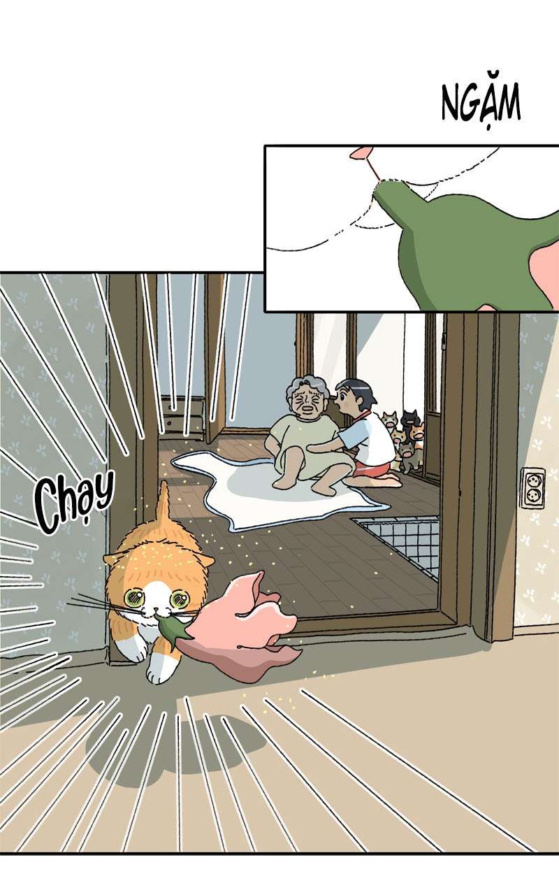 Chú Mèo Tata Chapter 3 - Trang 3