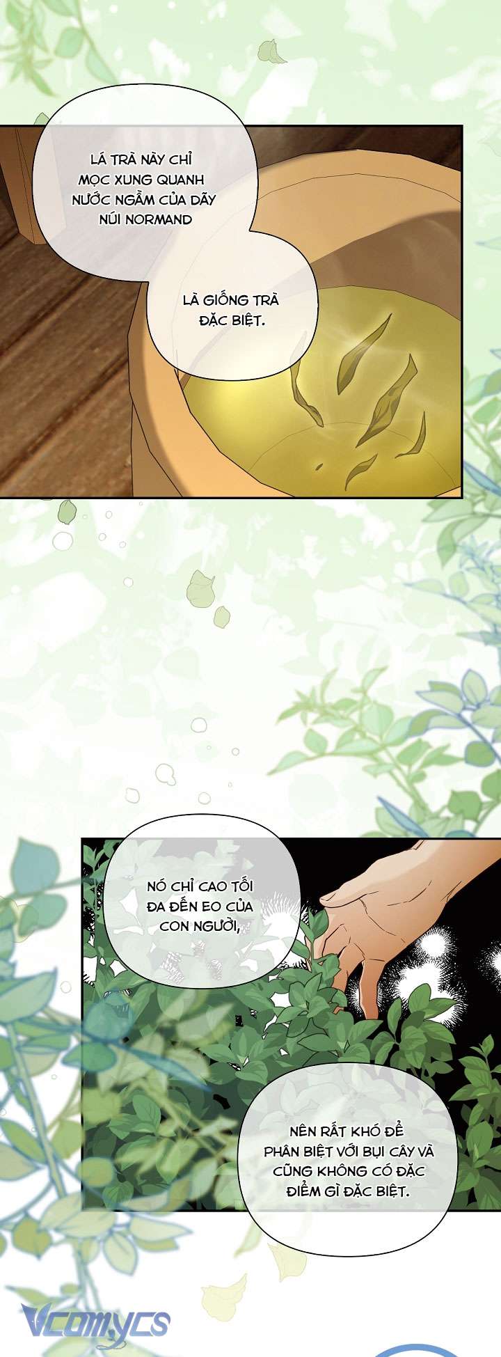 Phương Pháp Che Giấu Đứa Con Của Hoàng Đế Chapter 107 - Trang 4