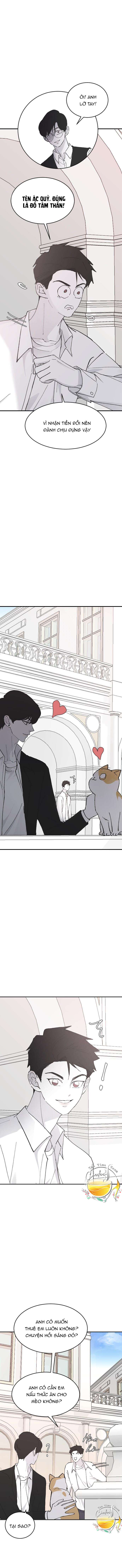 Ba Anh Trai Cực Phẩm Của Tôi Chap 24 - Trang 3