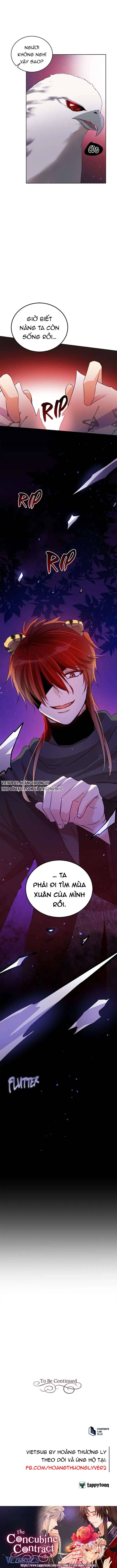 Ái Phi Khế Ước Chapter 71 - Trang 4
