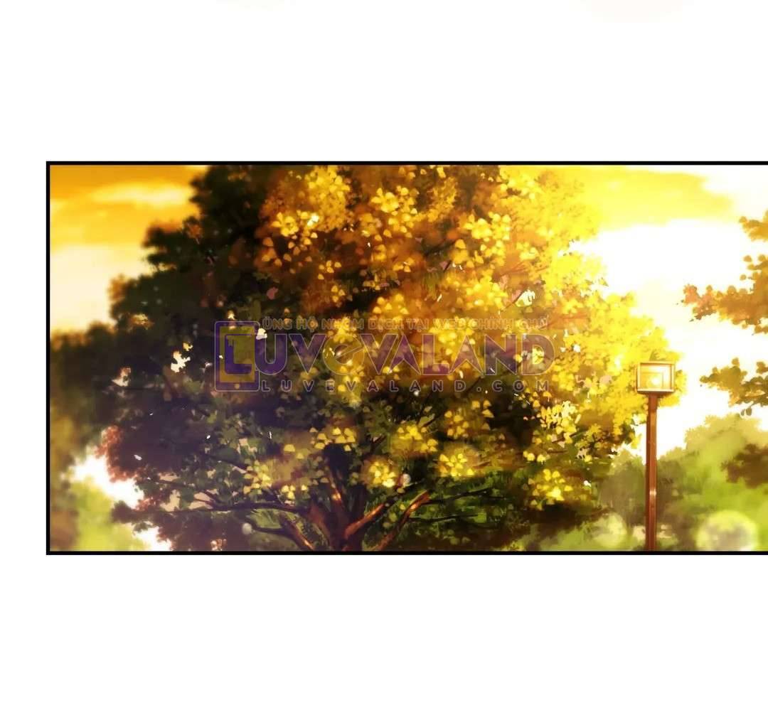 Ngôi Sao Ban Mai Chap 36 - Trang 2