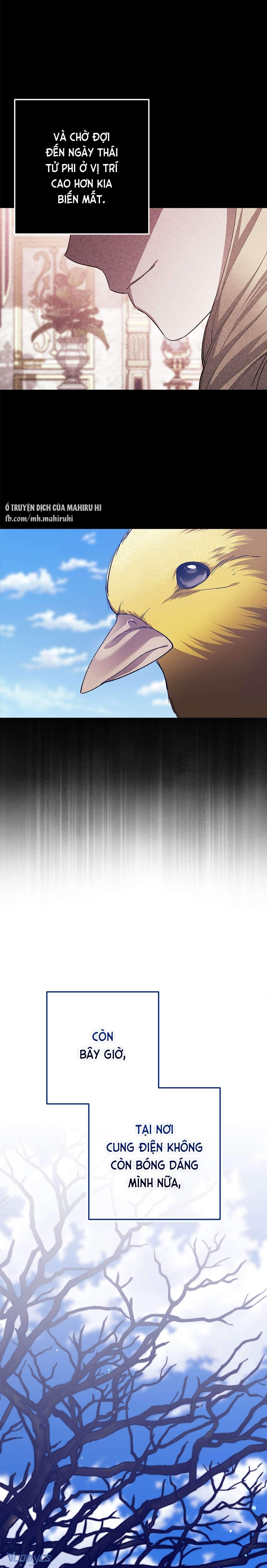 Hôn Nhân Này Rồi Sẽ Đổ Vỡ Chapter 92 - Next Chapter 93