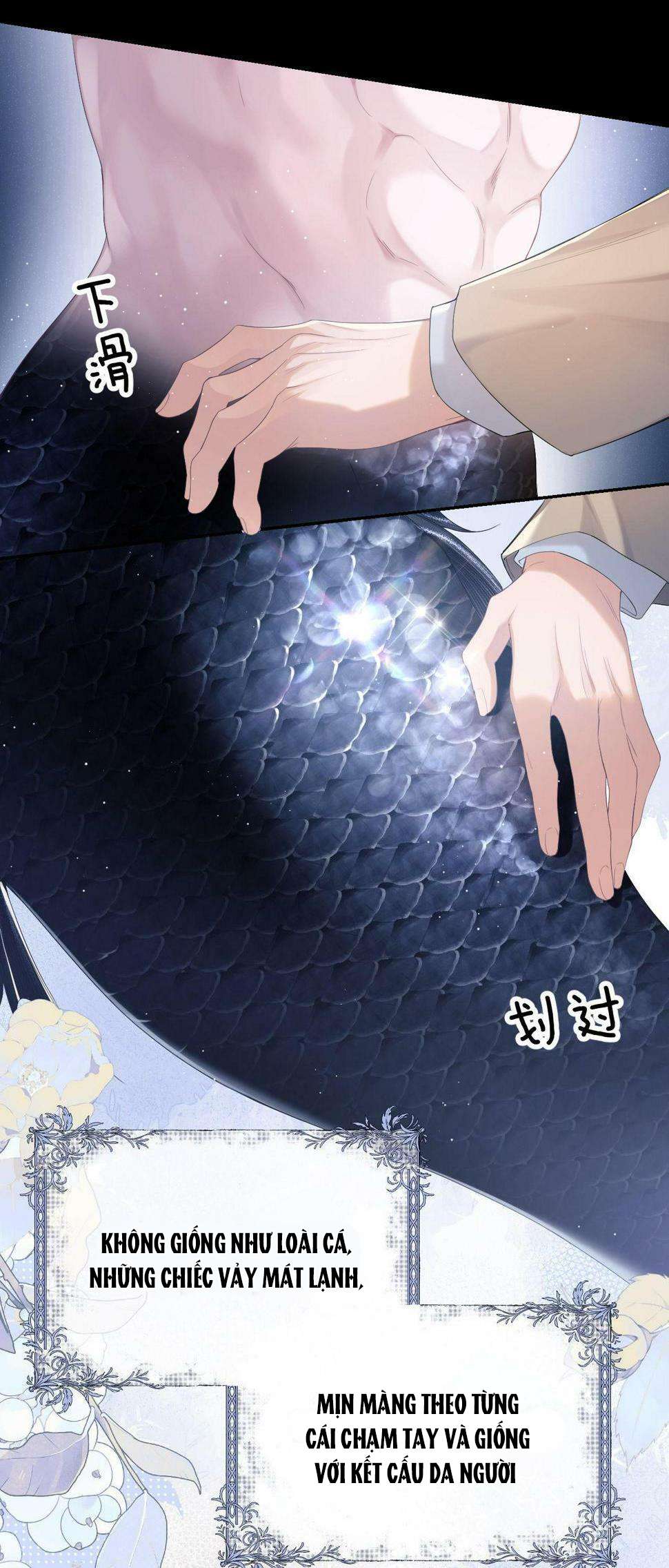 Nhân Ngư Desharow Chapter 1 - Next Chapter 2