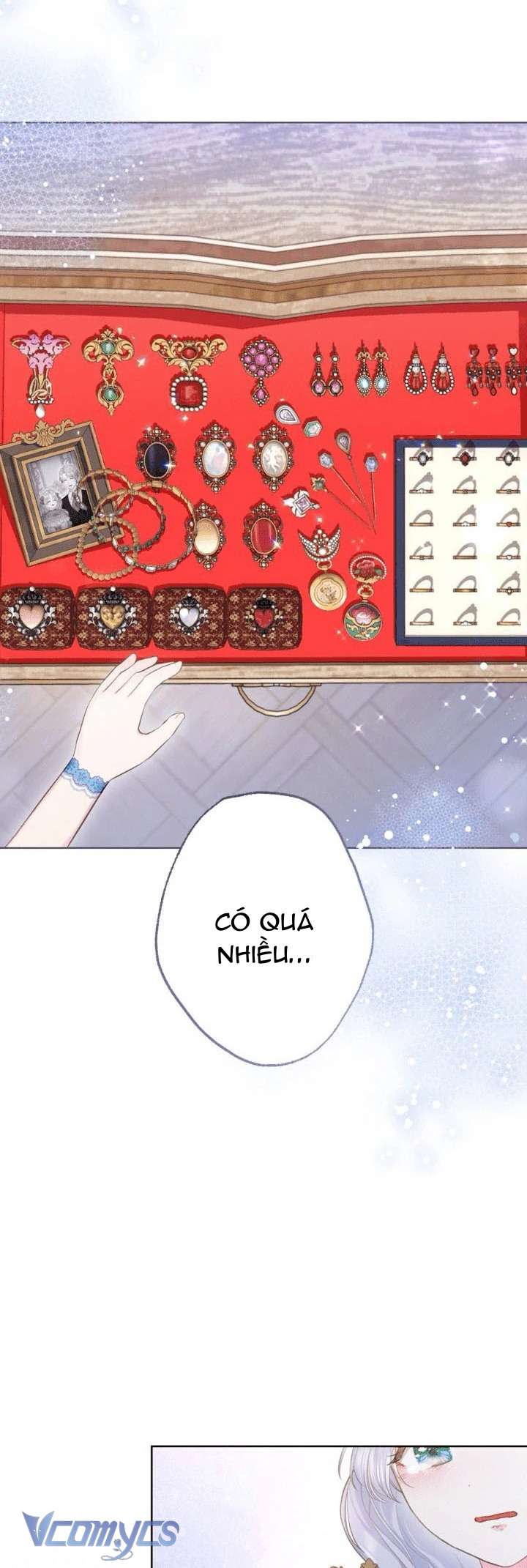 Người Anh Trai Mạnh Nhất Của Tôi Đã Mất Trí Nhớ Chap 11 - Trang 4