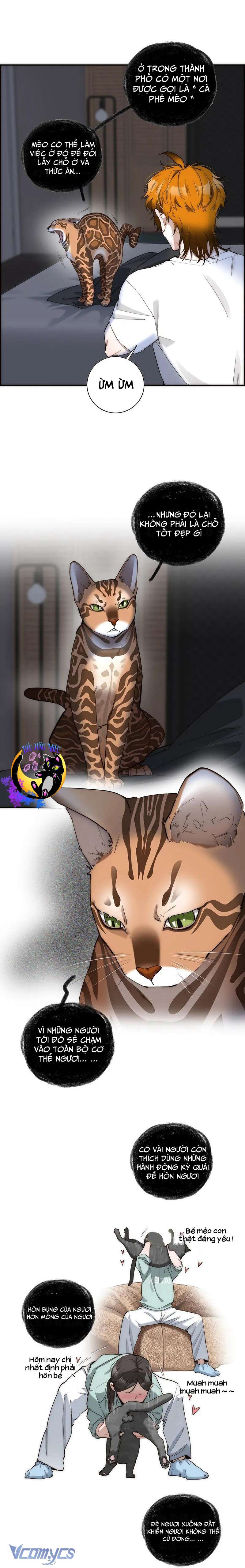 Ân Nhân Của Tôi Không Phải Học Giả Chapter 20 - Trang 3