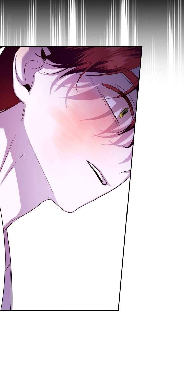 Phương Pháp Che Giấu Đứa Con Của Hoàng Đế Chapter 41 - Next Chapter 42