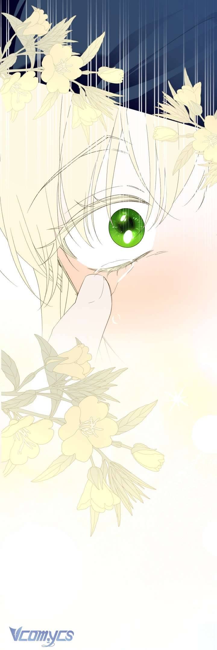 Phương Pháp Che Giấu Đứa Con Của Hoàng Đế Chapter 98 - Next Chapter 99