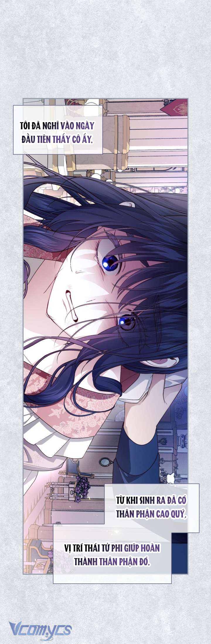 Phương Pháp Che Giấu Đứa Con Của Hoàng Đế Chapter 82 - Next Chapter 83