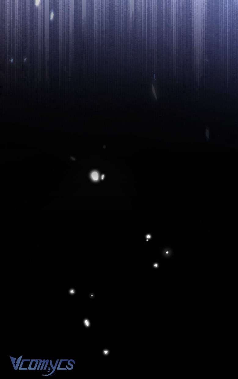 Sau Này Họ Sẽ Sinh Ra Tôi Chapter 2 - Trang 4