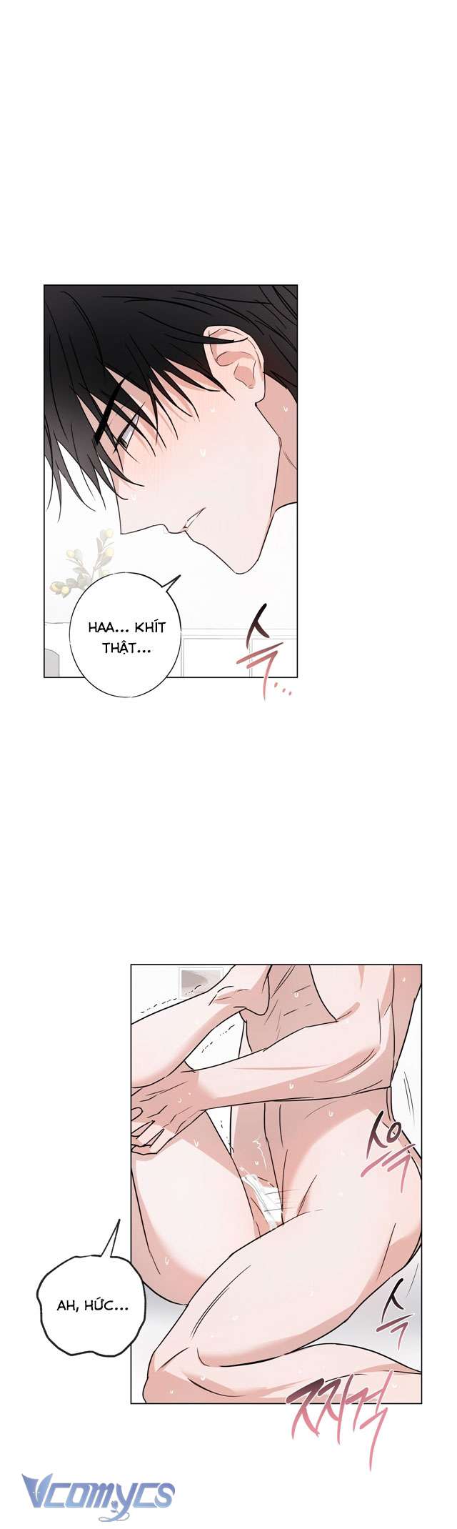 [18+] Mãn Xà Không Thể Hoá Thành Rồng Chap 3 - Trang 2