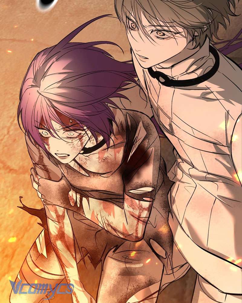 Ác Chi Hoàn Chapter 24 - Next Chapter 24.5