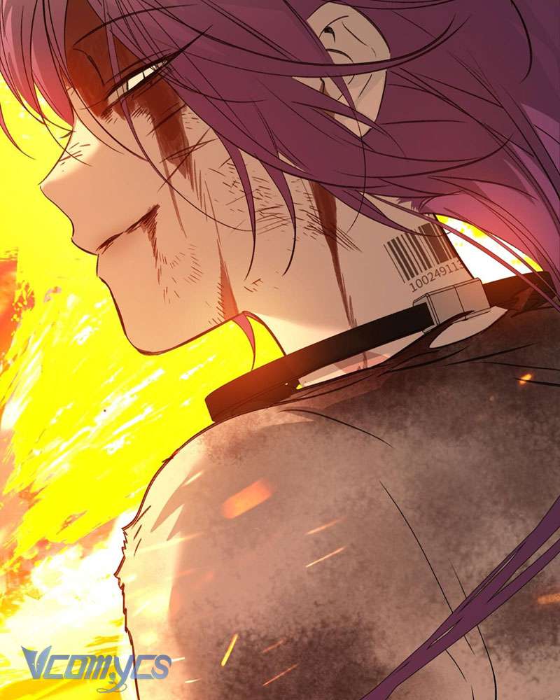 Ác Chi Hoàn Chapter 24 - Next Chapter 24.5