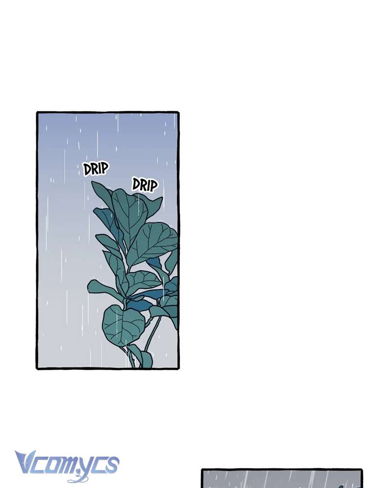 Chuyện Tình Hoa Lưu Ly Chap 7 - Trang 2
