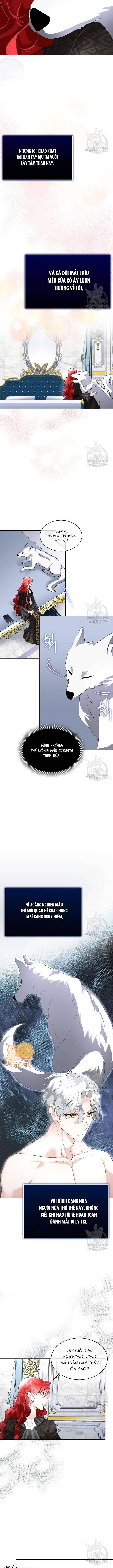 Tạm Thời Tôi Sẽ Bảo Vệ Nam Chính Chapter 45 - Trang 4