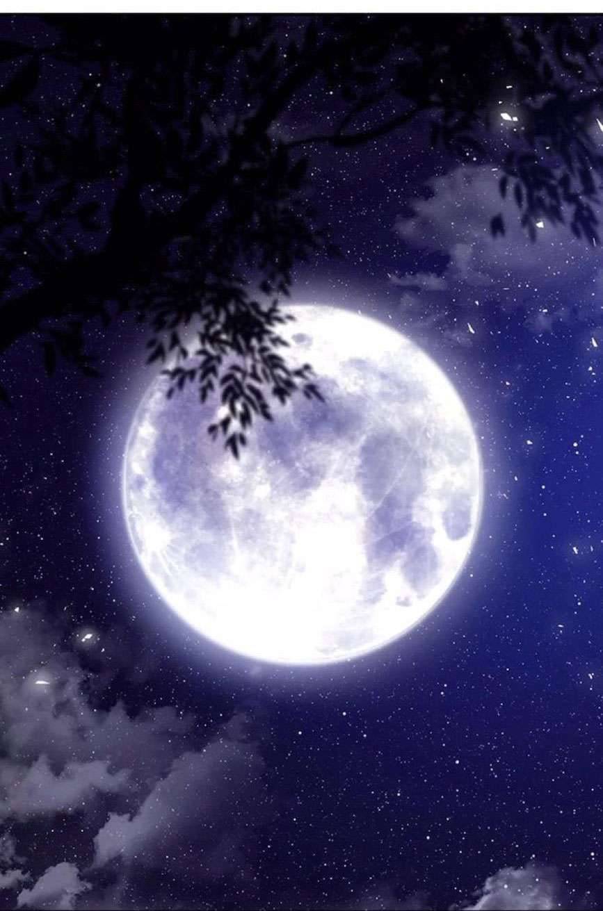 Vương Tử Huyền Bí Chapter 91 - Trang 4