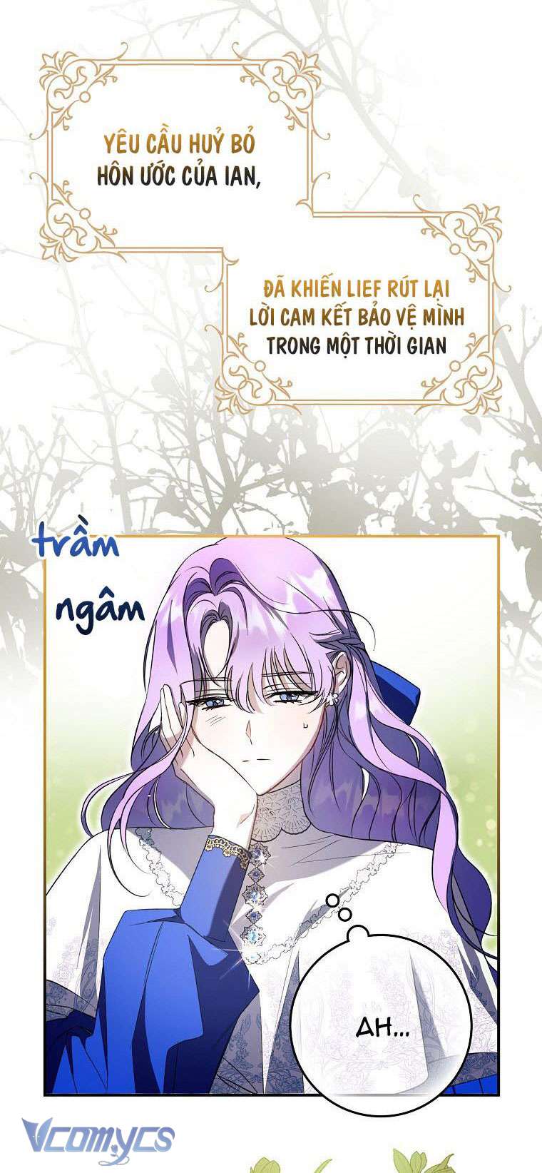 Các Nam Chính Đã Bị Nữ Phụ Cướp Mất Chap 2 - Next Chap 3