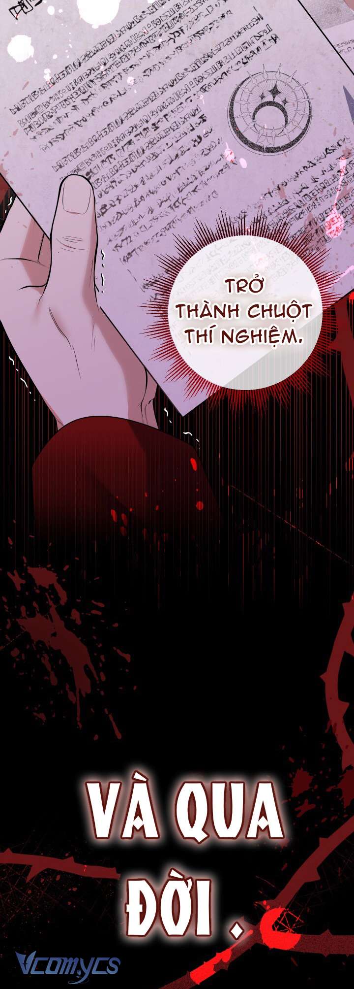 Tiểu Thư Tích Tiền Đi Bụi Chapter 53 - Trang 4