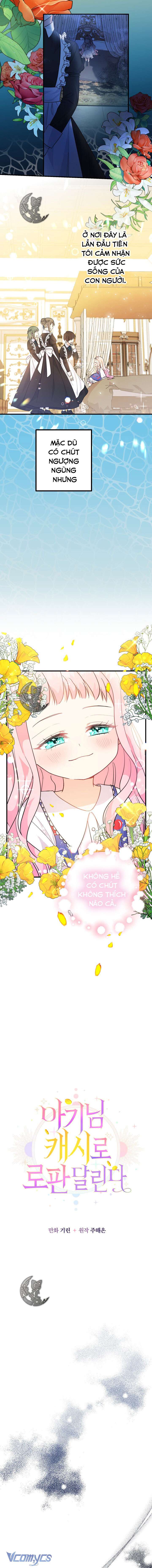 Tiểu Thư Tích Tiền Đi Bụi Chapter 4 - Trang 4