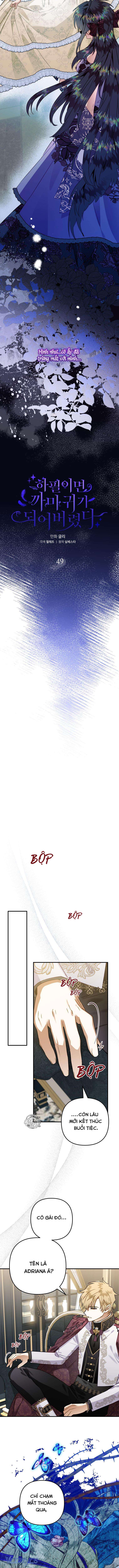 Bỗng Nhiên Tôi Trở Thành Quạ Đen!! Chapter 49 - Trang 4