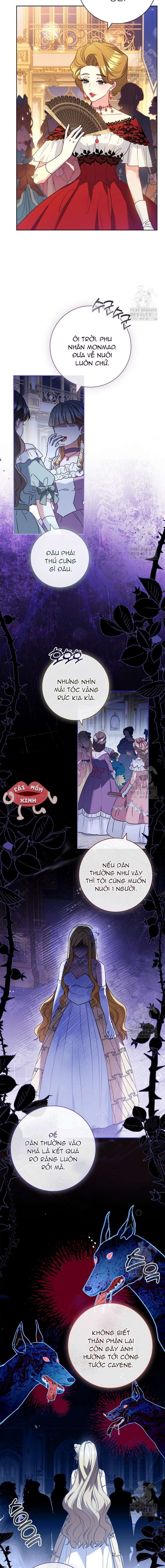 Tôi Phải Mau Chóng Kết Hôn Vì Thời Gian Có Hạn Chapter 21 - Trang 4