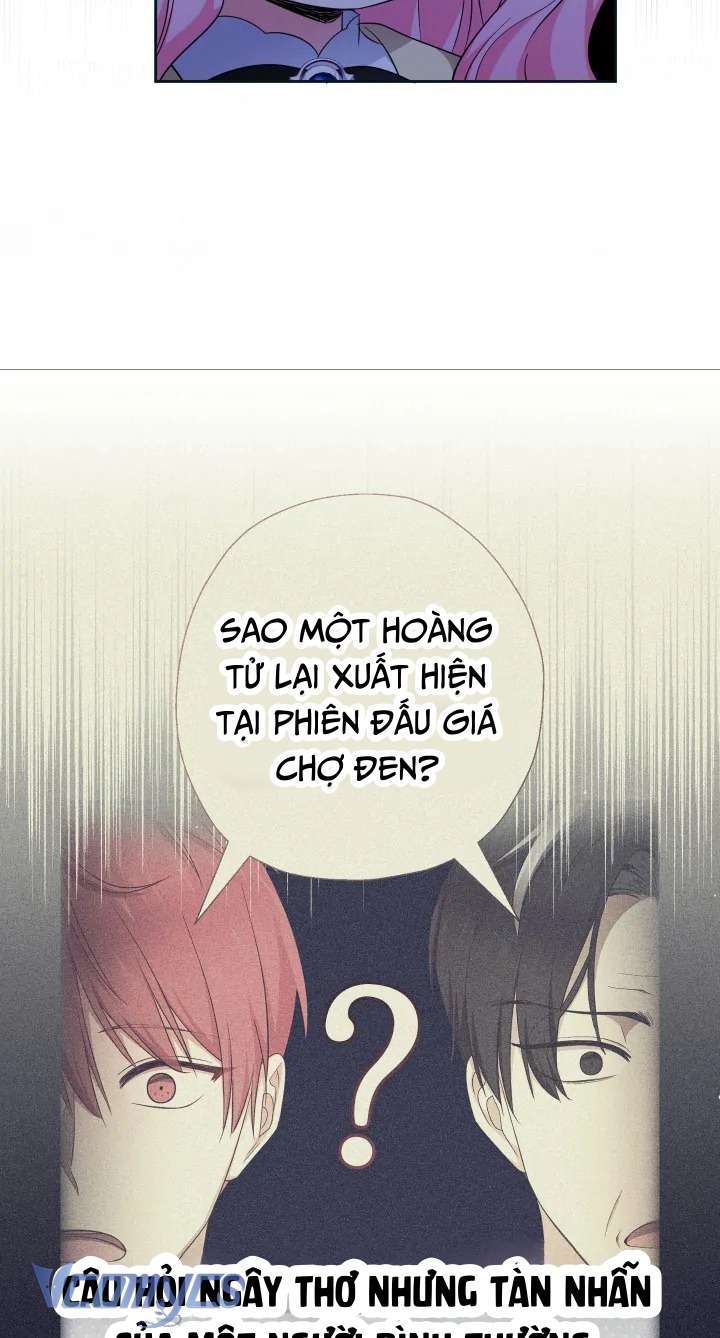 Tiểu Thư Tích Tiền Đi Bụi Chapter 66 - Trang 4