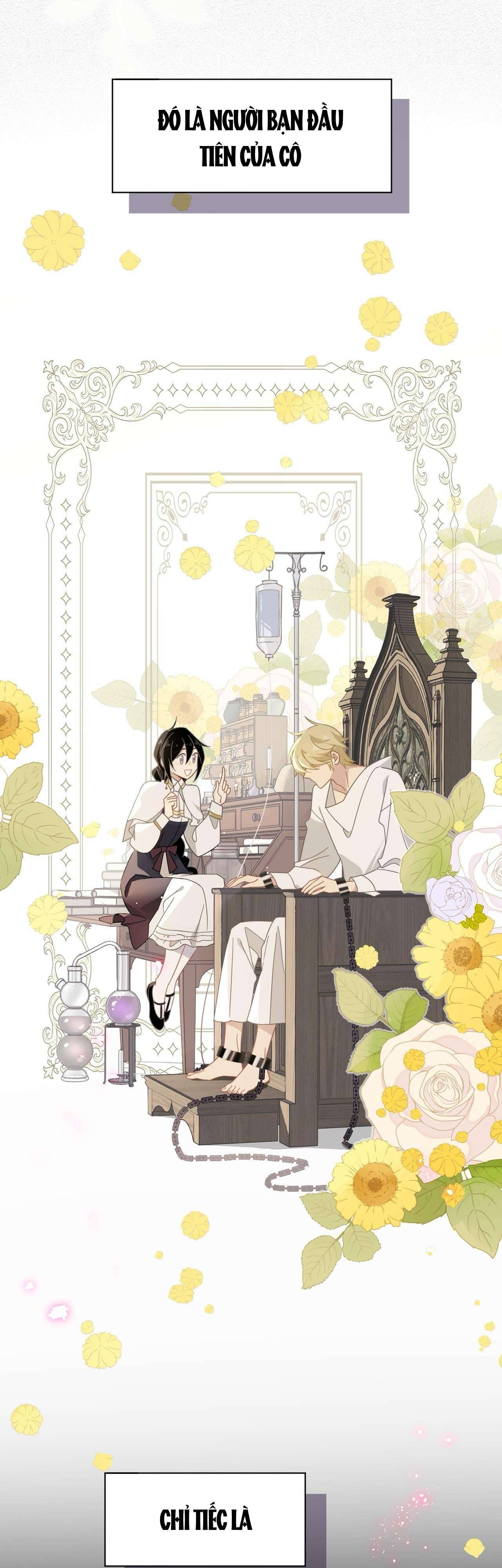 Xuyên thành phù thủy nuôi dưỡng kỵ sĩ thánh điện Chapter 28 - Next Chapter 29