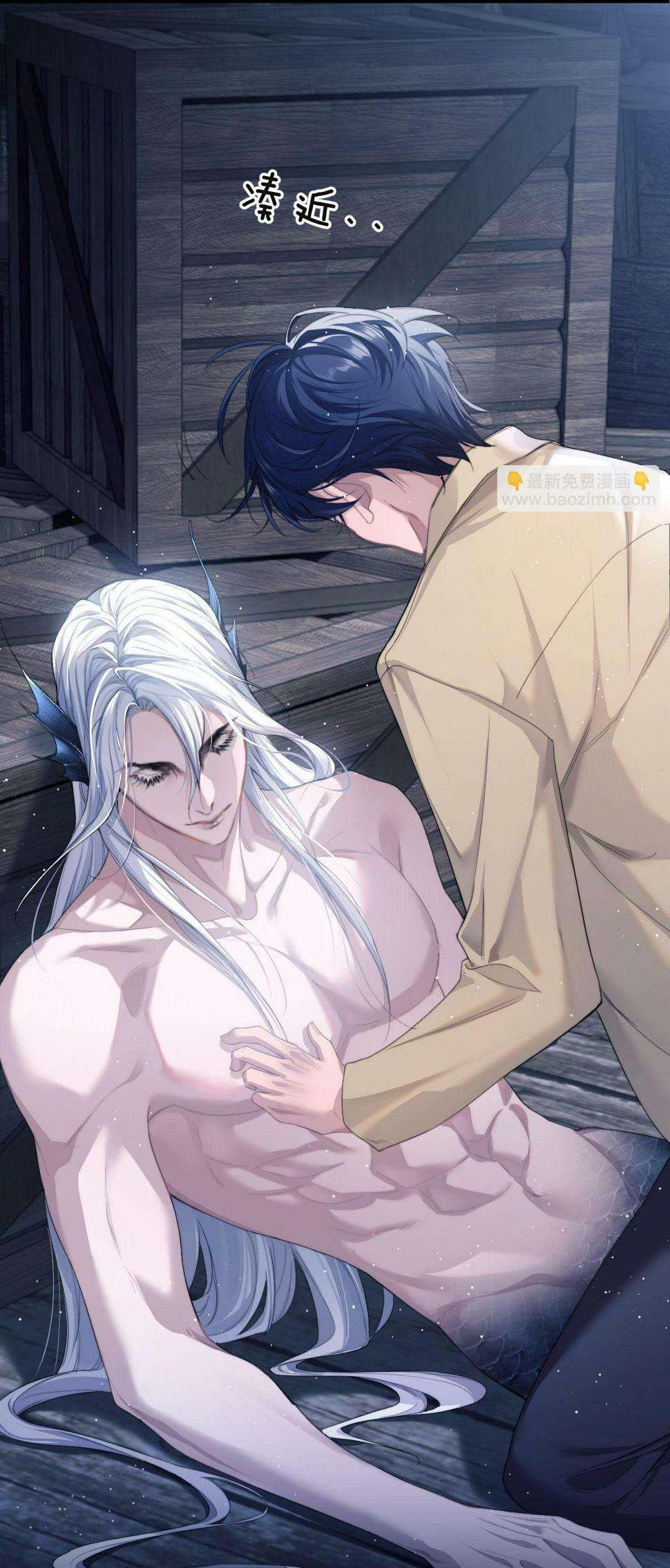 Nhân Ngư Desharow Chapter 1 - Next Chapter 2