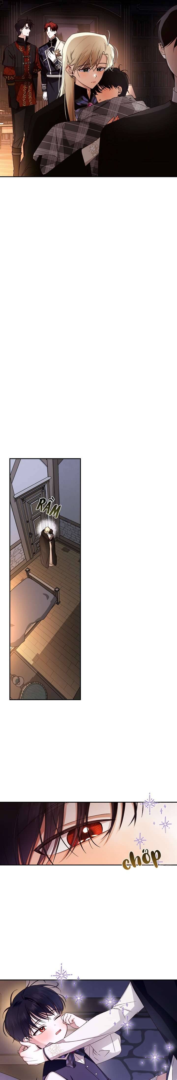 Phương Pháp Che Giấu Đứa Con Của Hoàng Đế Chapter 17 - Next Chapter 18