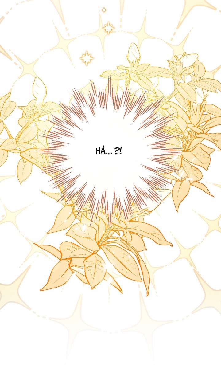 Chúng Ta Có Thể Trở Thành Một Gia Đình Được Không? Chap 71 - Next Chap 72