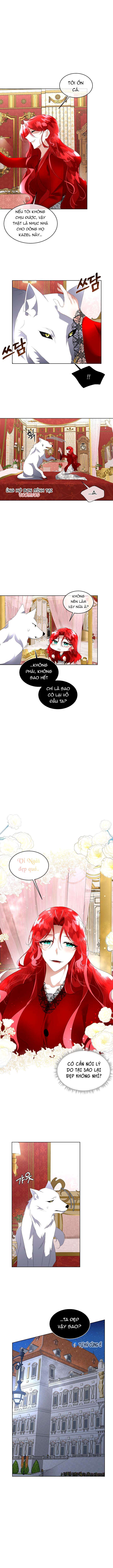 Tạm Thời Tôi Sẽ Bảo Vệ Nam Chính Chapter 12 - Trang 4