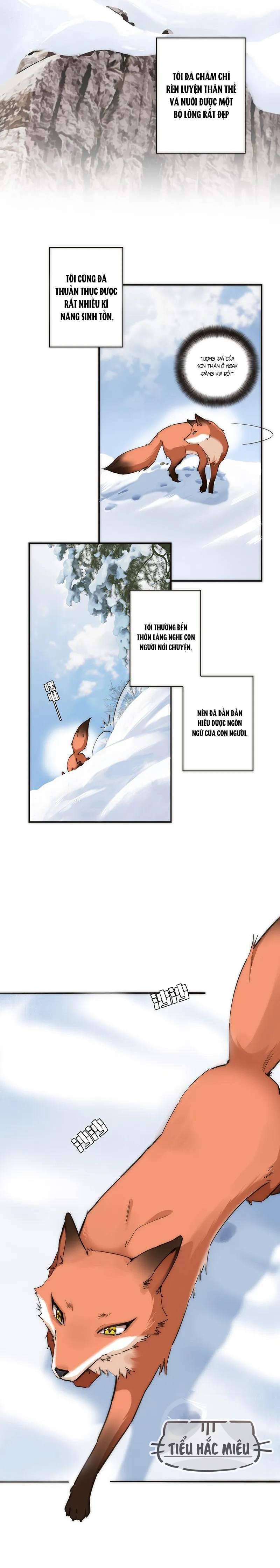 Ân Nhân Của Tôi Không Phải Học Giả Chapter 3 - Trang 3