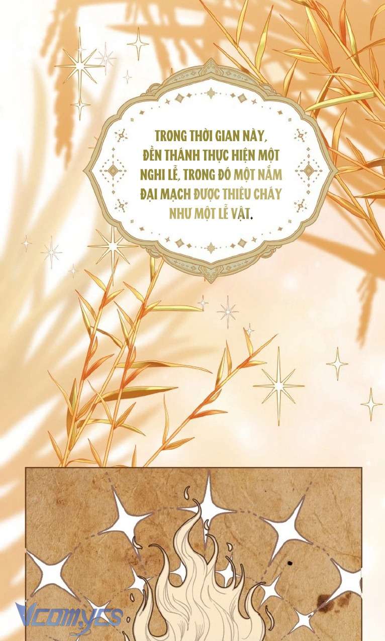 Sự Điều Trị Đặc Biệt Của Tinh Linh Chapter 84 - Next Chapter 85